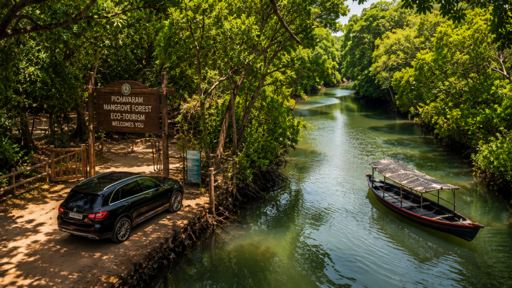 Pichavaram Rental Cars